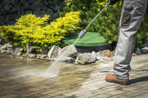 Best Roof Washing  in Sophia, WV